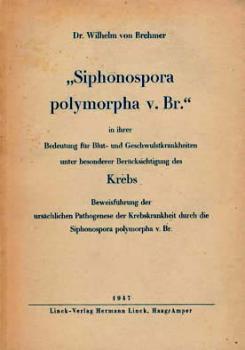 „Siphonospora polymorpha v. Br.“